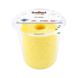 ANANAS FÛT 450G